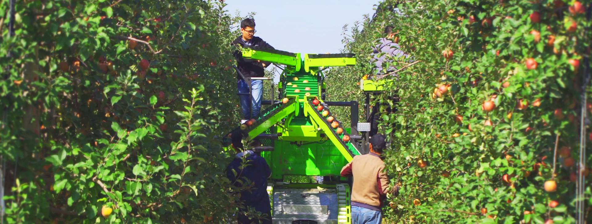 Fruit Harvester